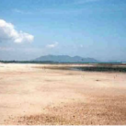 The beach at San Carlos at low tide. The Pacific side tide is about 21 feet. The mountain in background is La Negra Vieja (the Old Negro Woman)