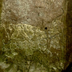 Petroglyphs: A map of the area