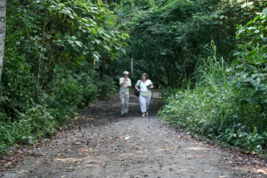 Hiking tour the rainforest with EcoCircuitos