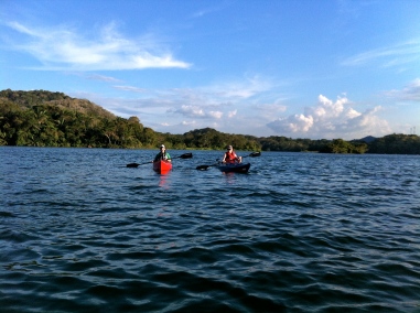 Kayaking tours